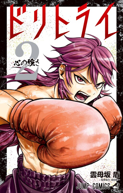 Cover of ドリトライ