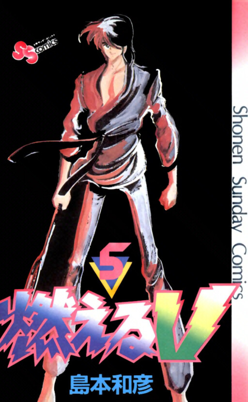 Cover of 燃えるV