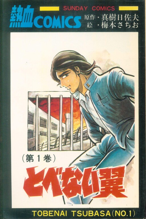 Cover of とべない翼