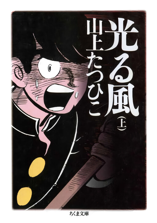 Cover of 光る風