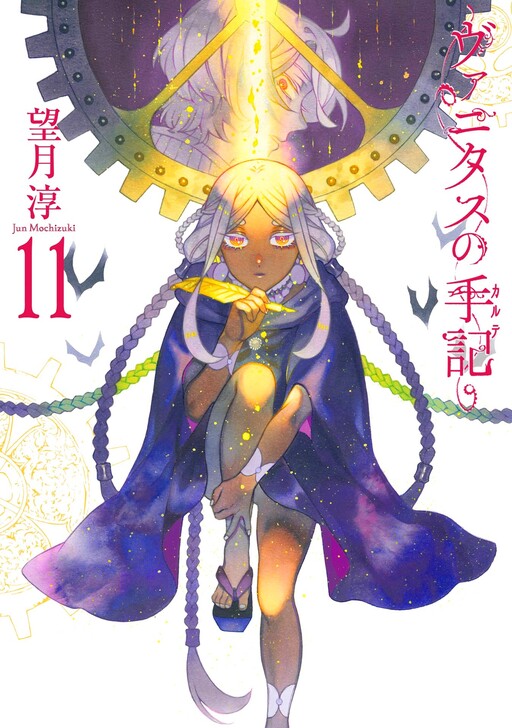 Cover of ヴァニタスの手記